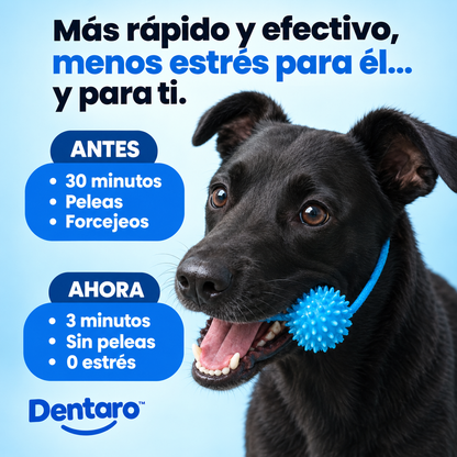Mordedor Dental 2 en 1