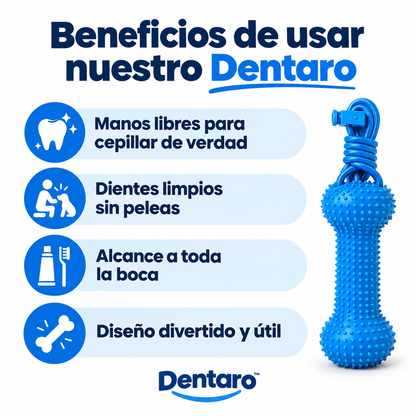 Mordedor Dental 2 en 1
