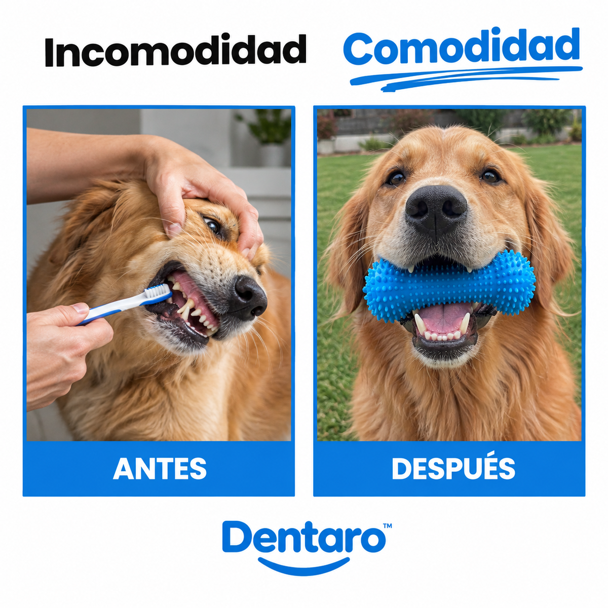 Mordedor Dental 2 en 1