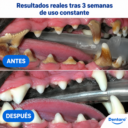 Mordedor Dental 2 en 1